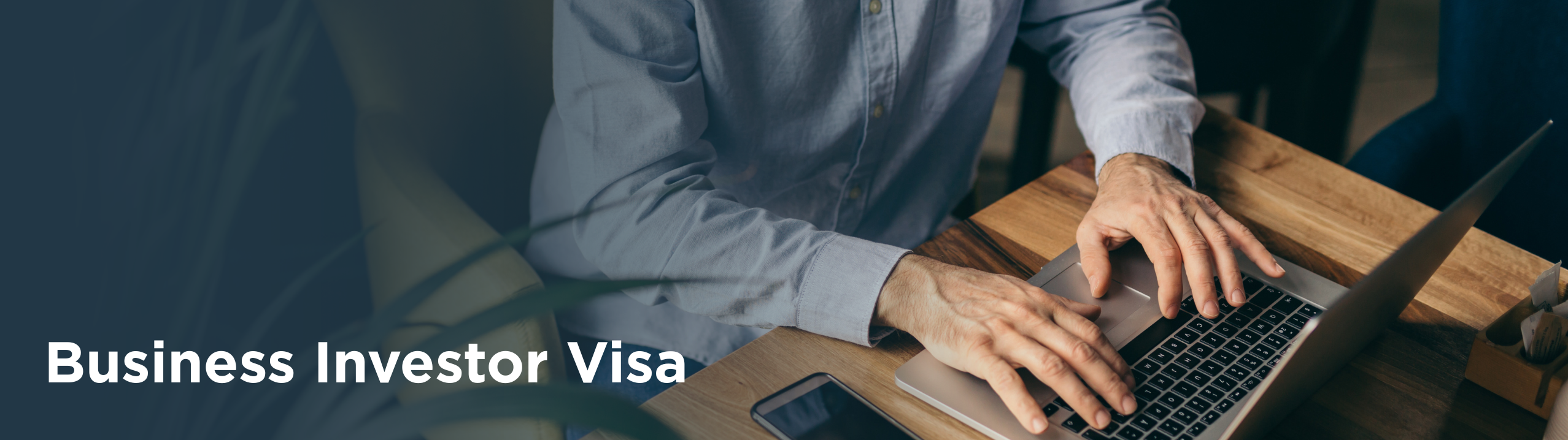 Biz Investor Banner