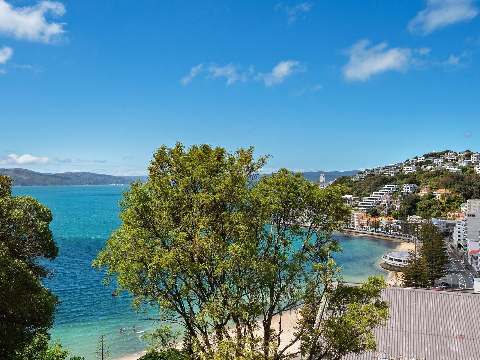 1 Oriental Terrace, Oriental Bay 1 Oriental Terrace, Oriental Bay