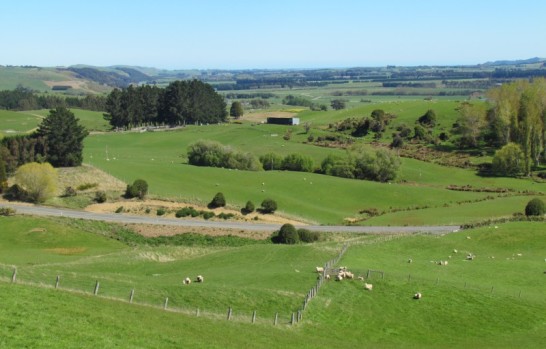 2608+2633 Ohai Clifden Highway Eastern Bush