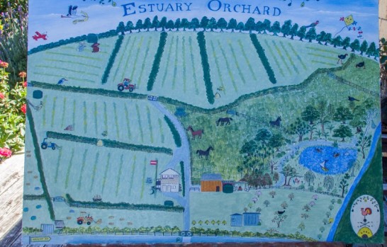 310 Wright Road Waiau Pa