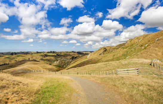 Ponganui Road Onewhero
