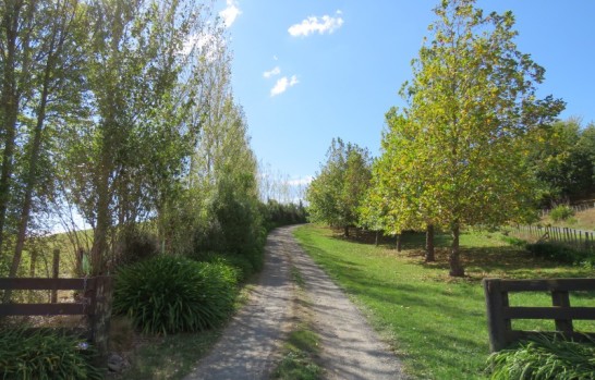 Matapiro Road Crownthorpe