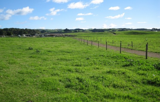 112 Tahurangatira Road Karioitahi
