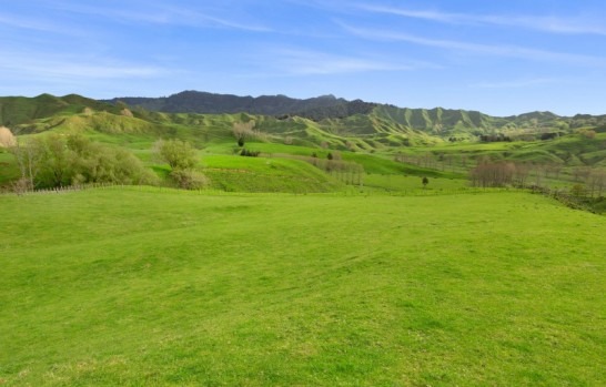 486 Ngatarawa Road Mahoenui