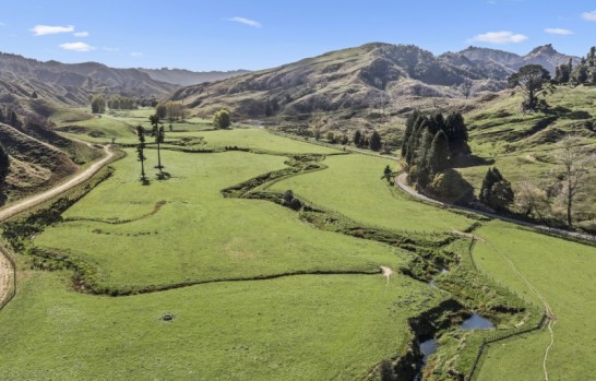 23 Hapurua Road Taumarunui