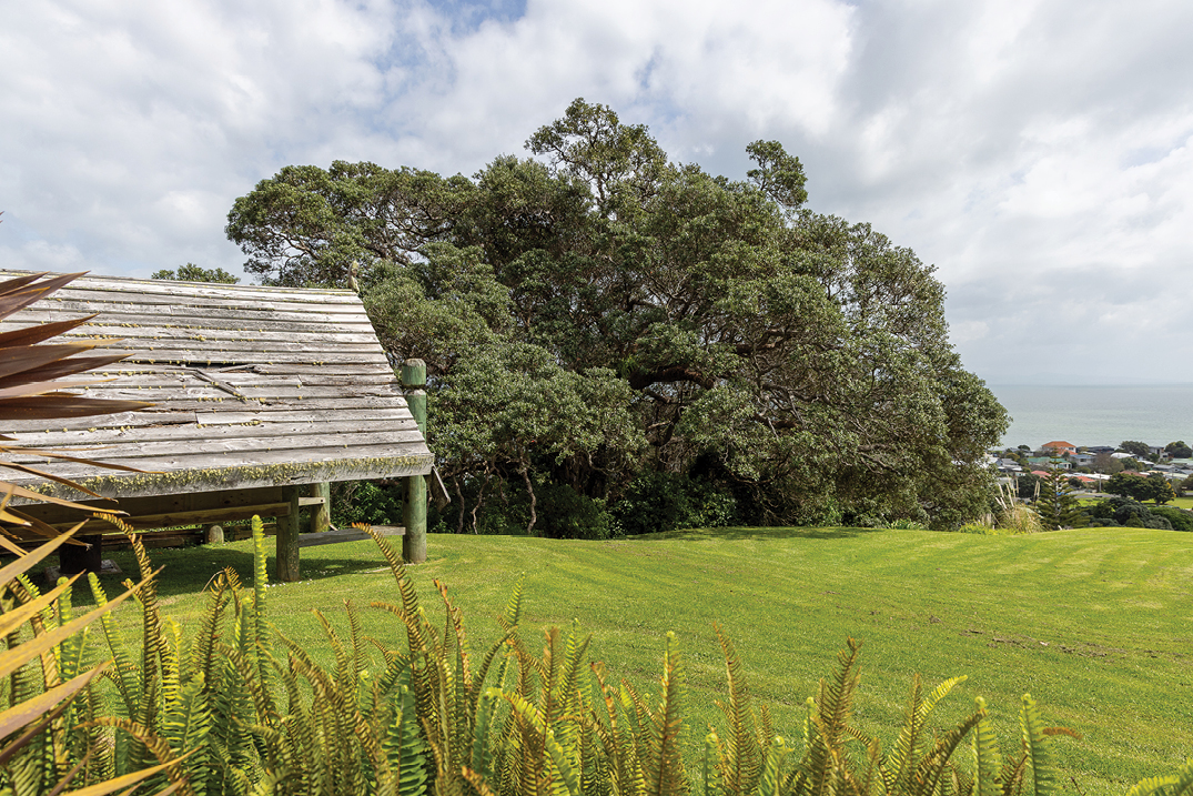 LRC_SPR25_Maori_Hut