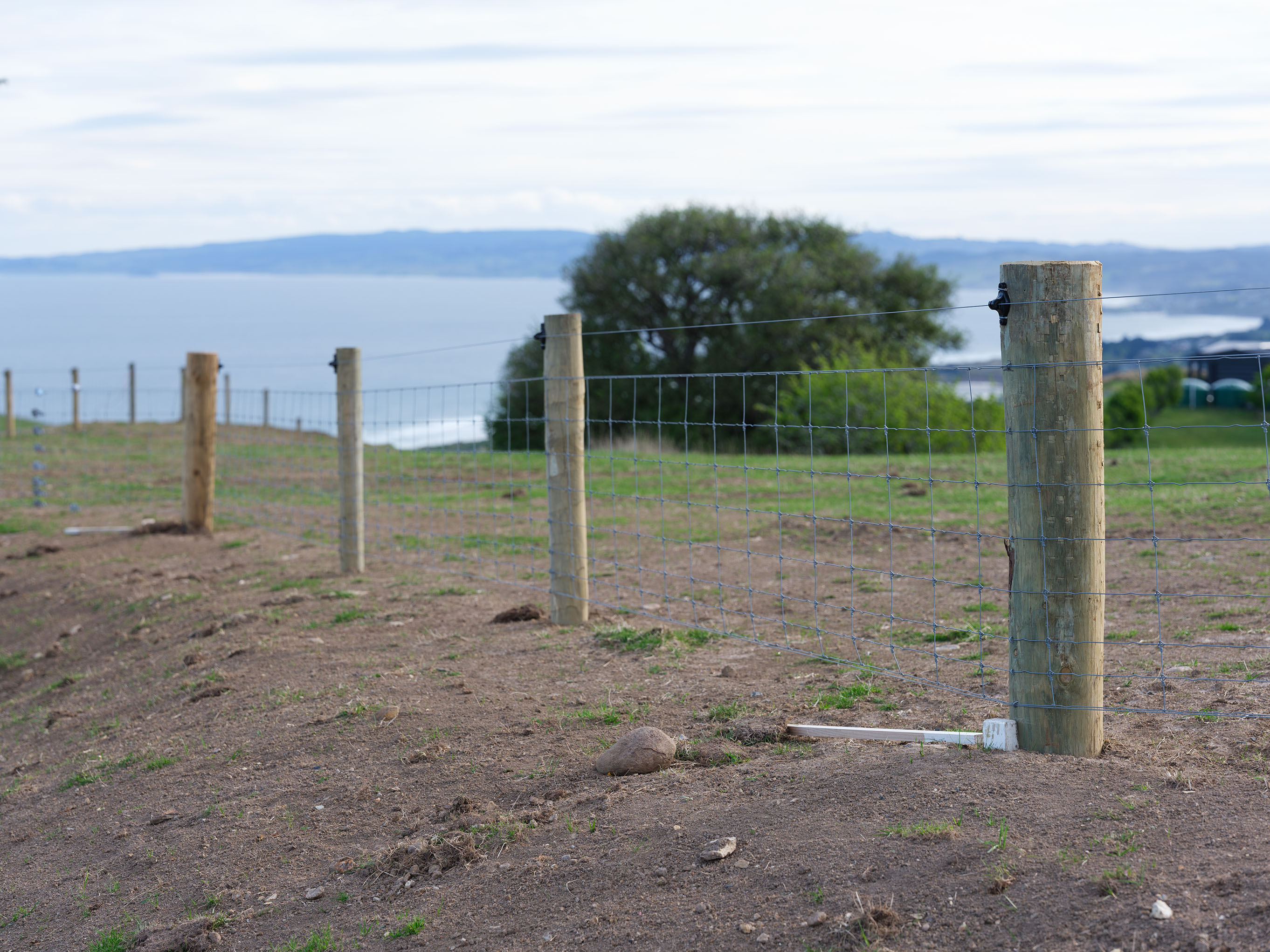 SUM26_Farmlet_Fencing