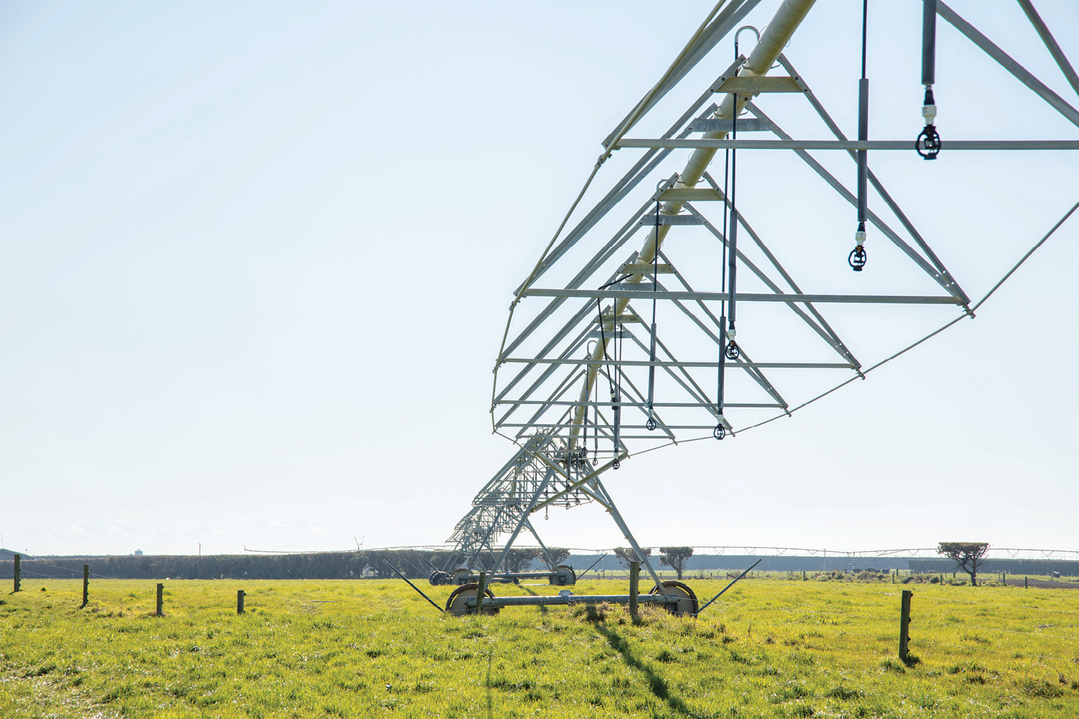 PE_AUT26_Successful Sales_Dorie