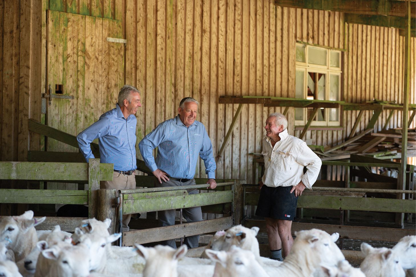 PE_AUT26_Howard_Sheep Yards