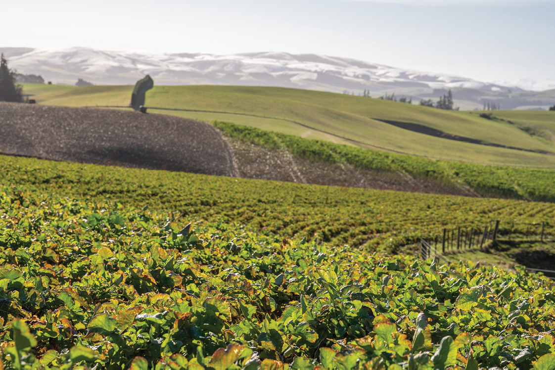 PE_SPR26_Braeside_Crops