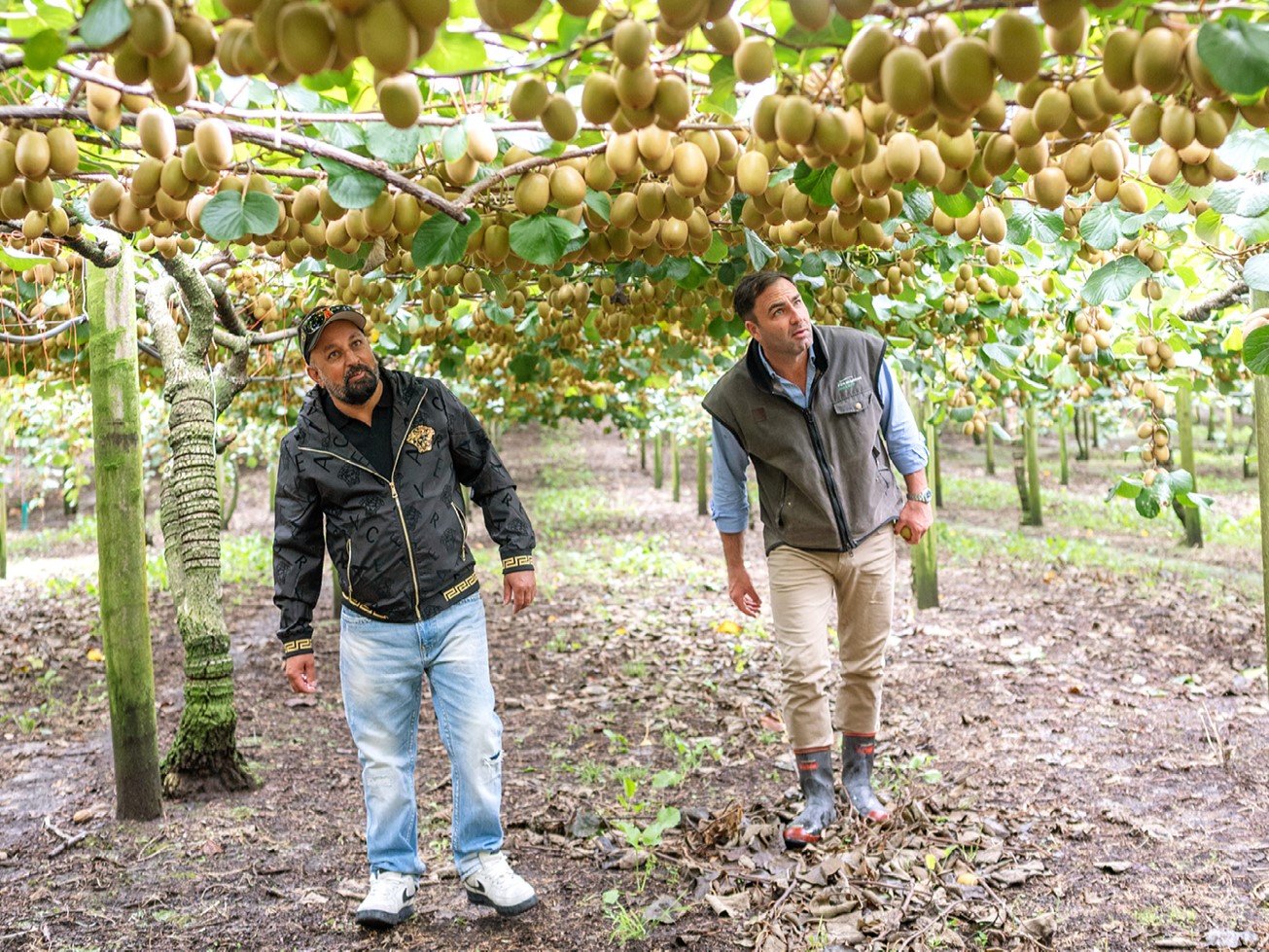 PE_SPR26_Report_Kiwifruit