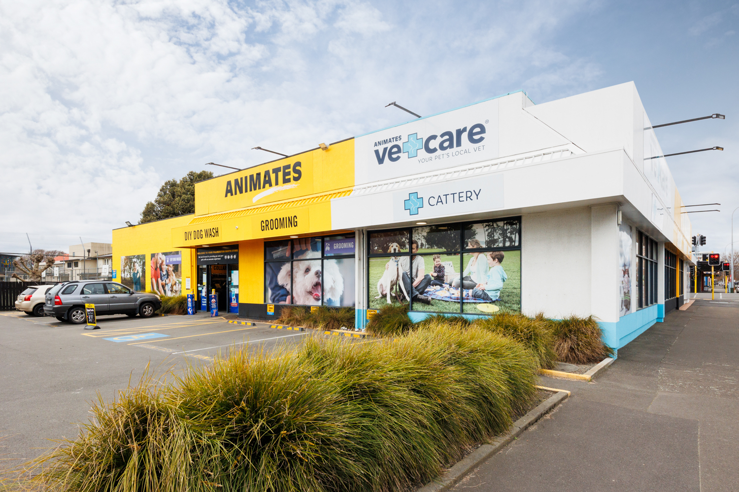 284 Rangitikei Street - Animates