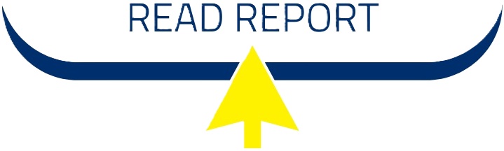 Read Report