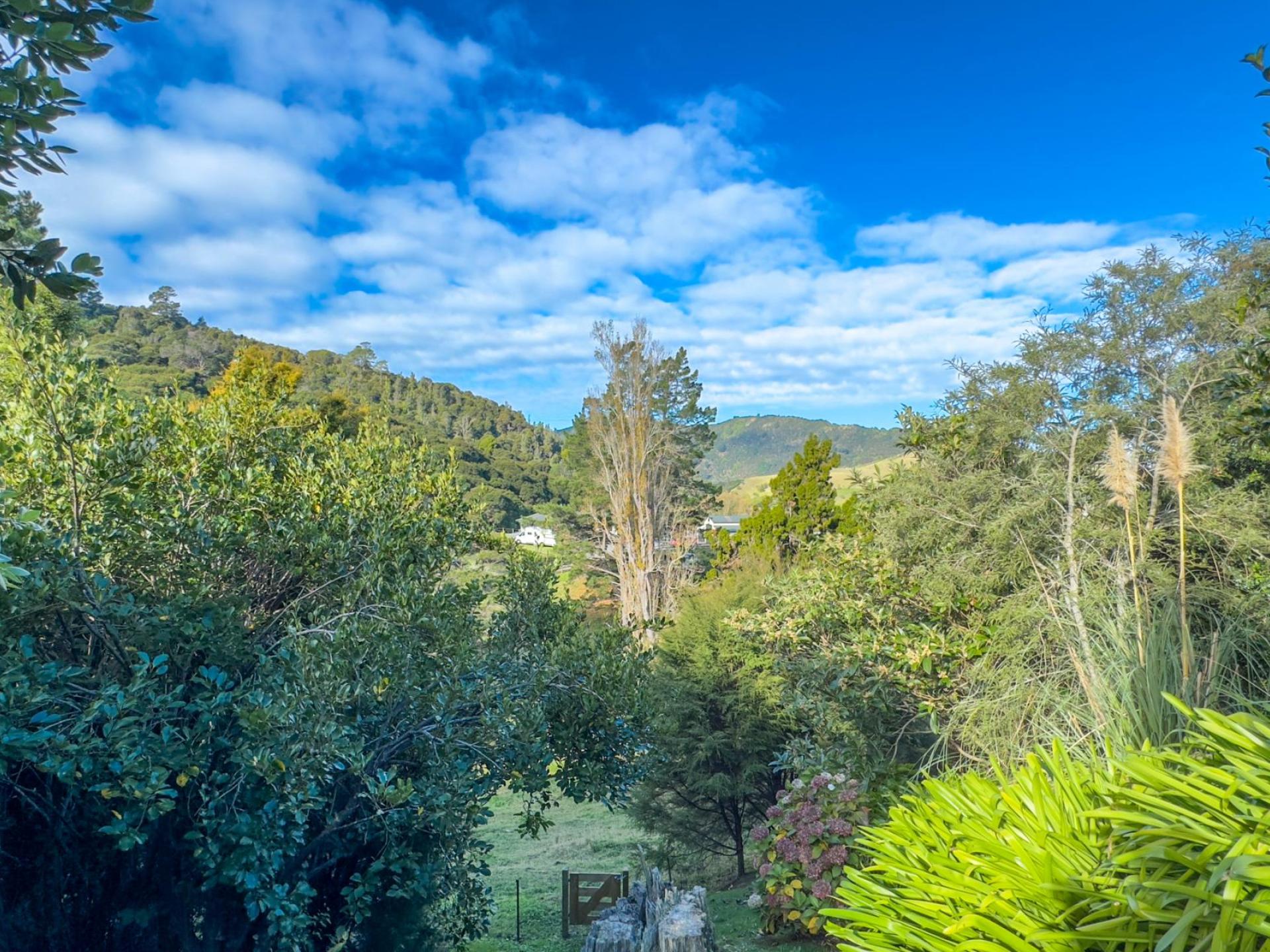 236 The Booms Avenue, Thames 236 The Booms Avenue, Thames