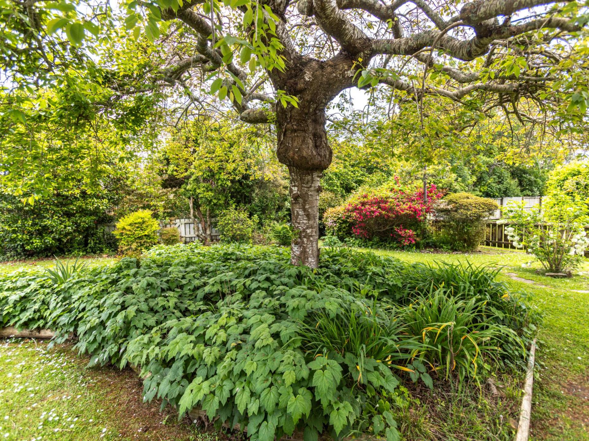 33a Ainslie Road, Paeroa 33a Ainslie Road, Paeroa