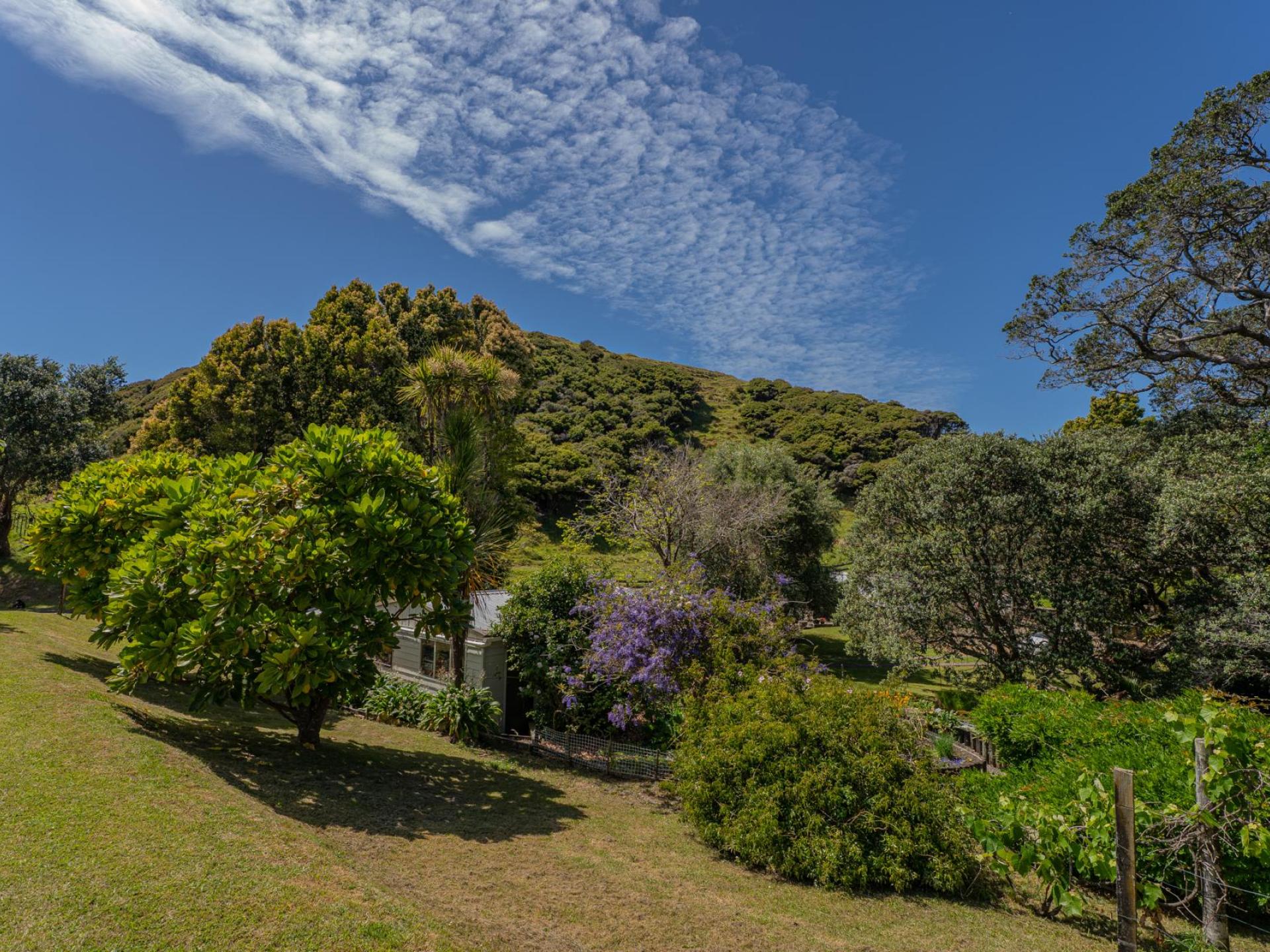. Sh25 Te Rerenga-Kuaotunu Road, Kuaotunu . Sh25 Te Rerenga-Kuaotunu Road, Kuaotunu