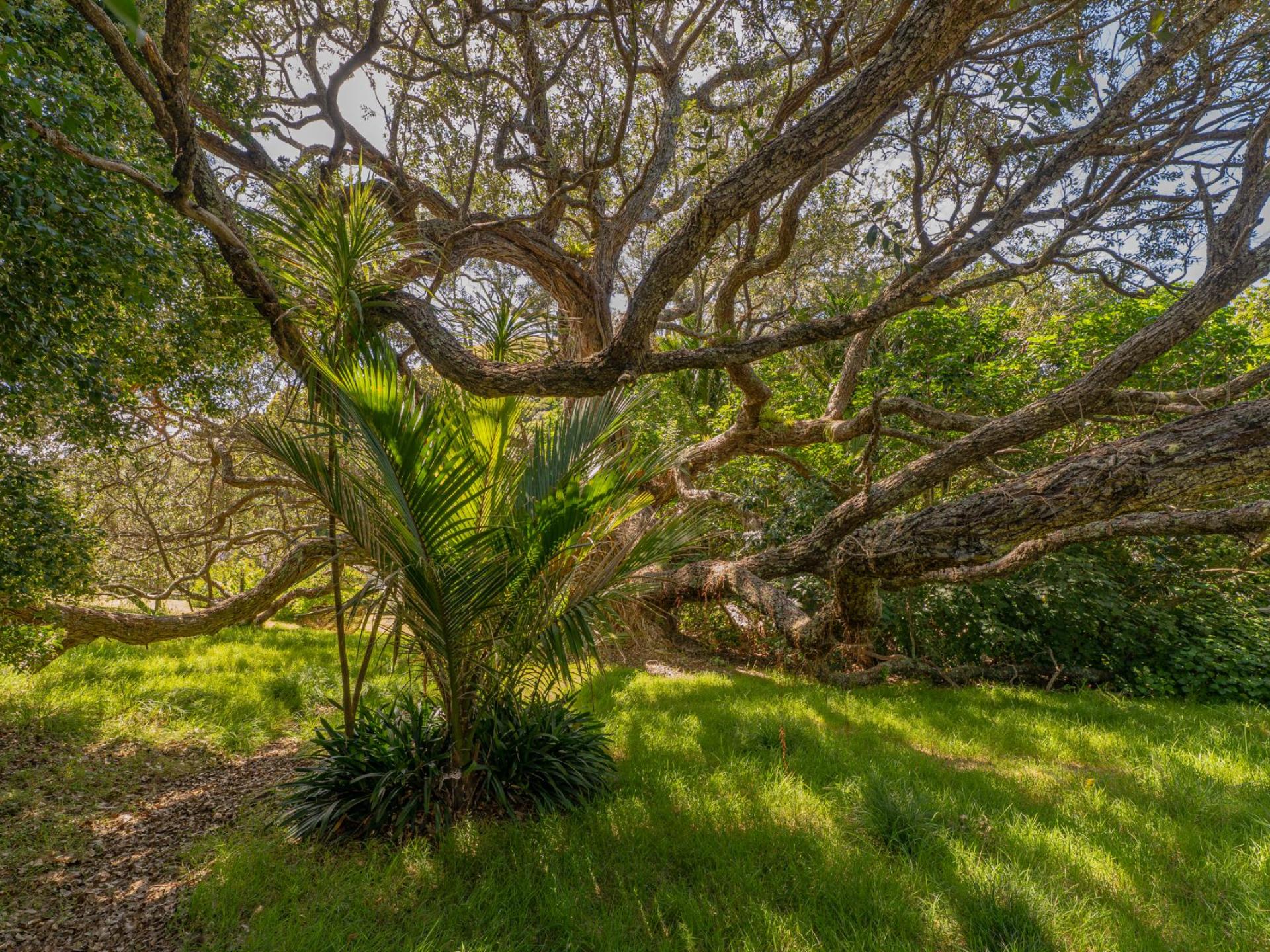 . Sh25 Te Rerenga-Kuaotunu Road, Kuaotunu . Sh25 Te Rerenga-Kuaotunu Road, Kuaotunu