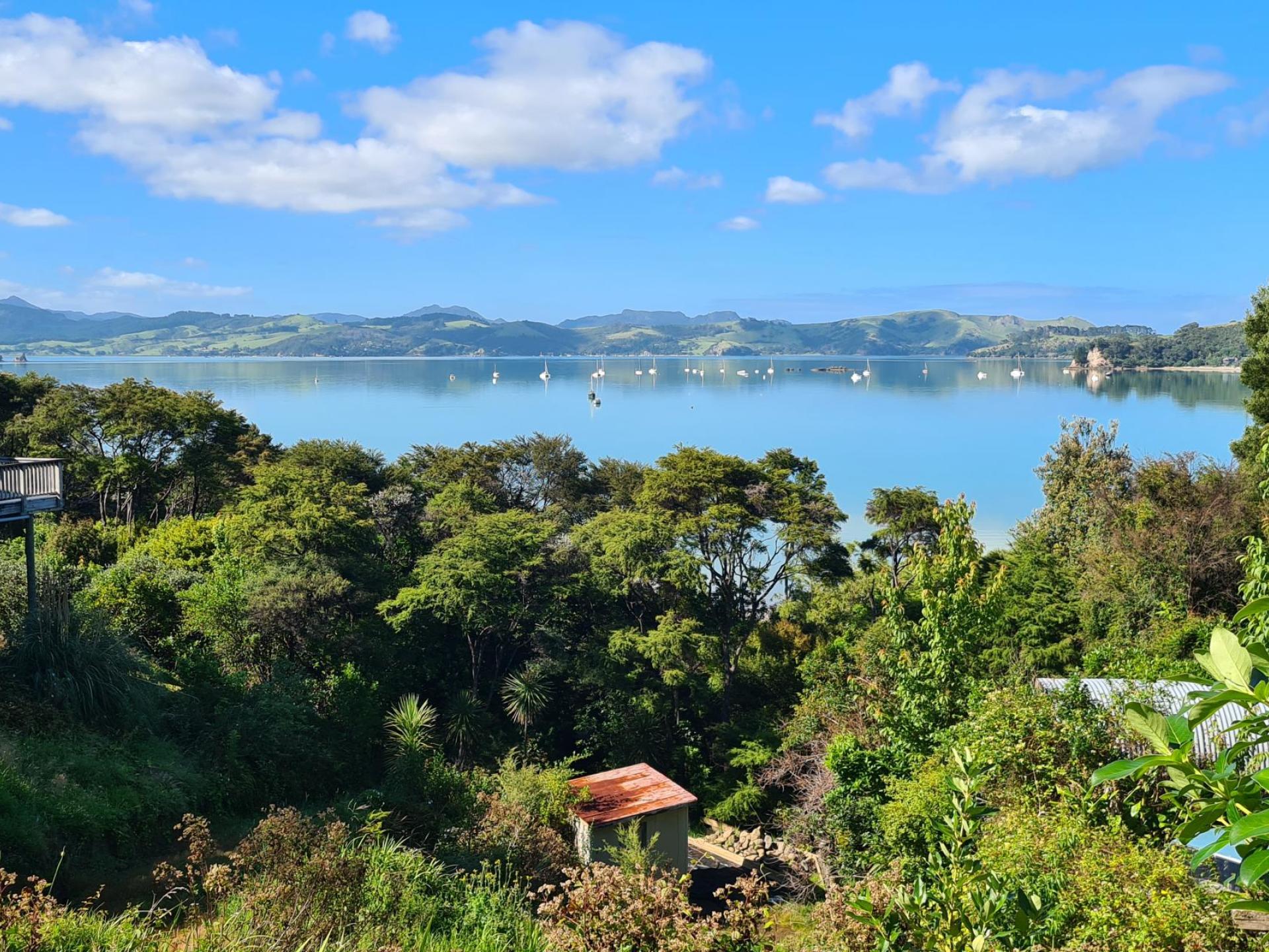 515 Wyuna Bay Road, Coromandel 515 Wyuna Bay Road, Coromandel