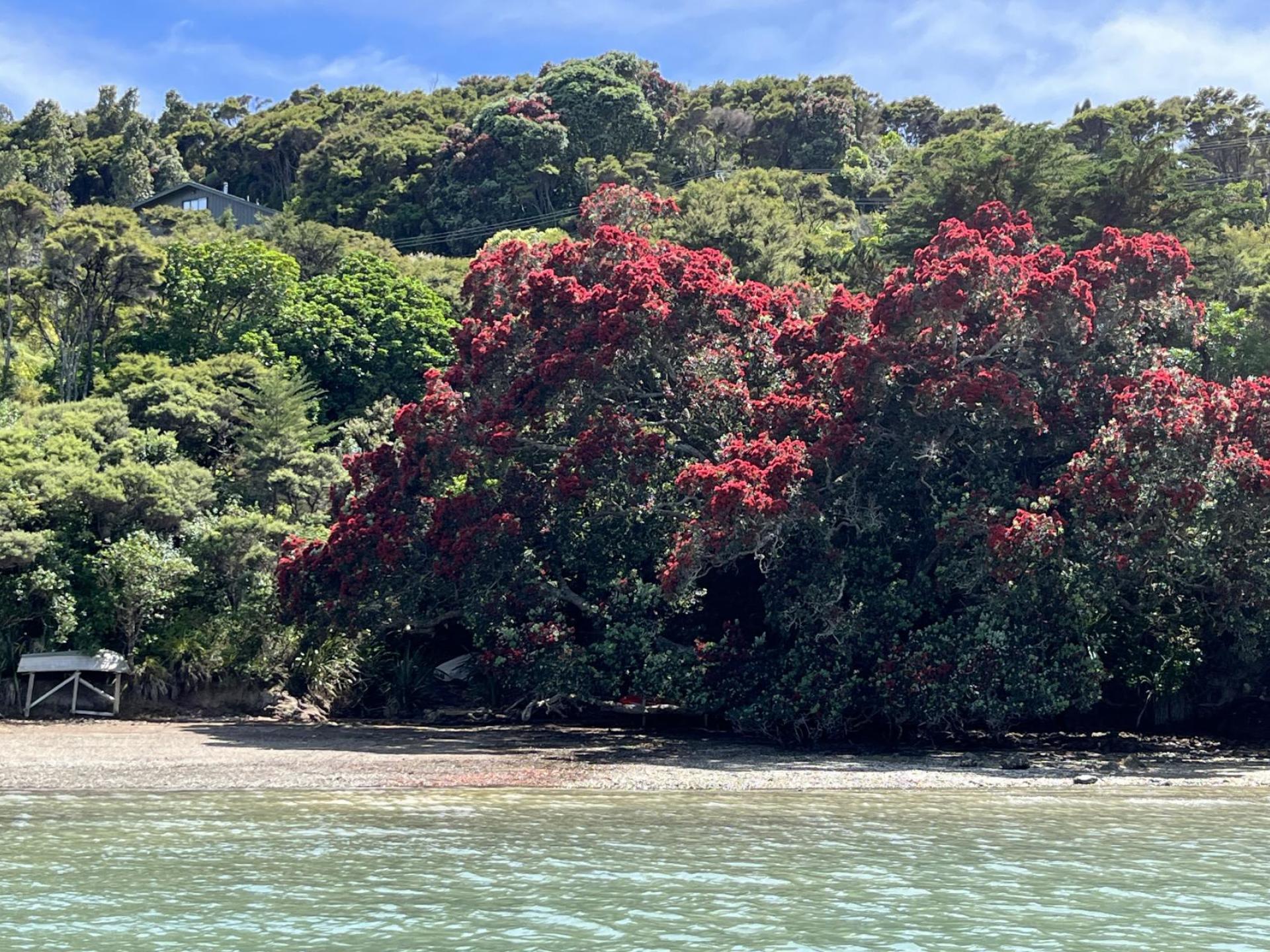 515 Wyuna Bay Road, Coromandel 515 Wyuna Bay Road, Coromandel
