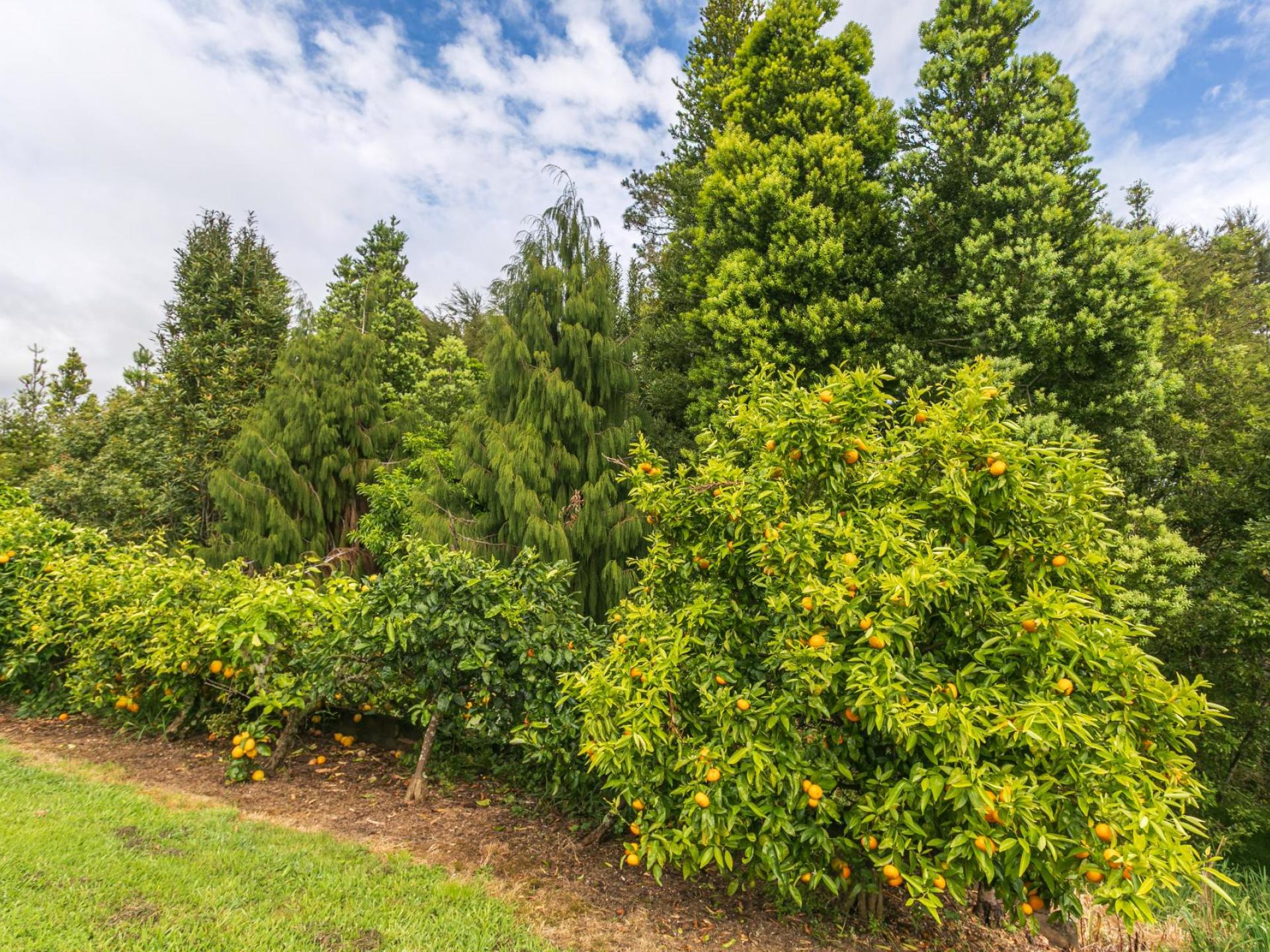 37 Kapowai Road, Coroglen 37 Kapowai Road, Coroglen