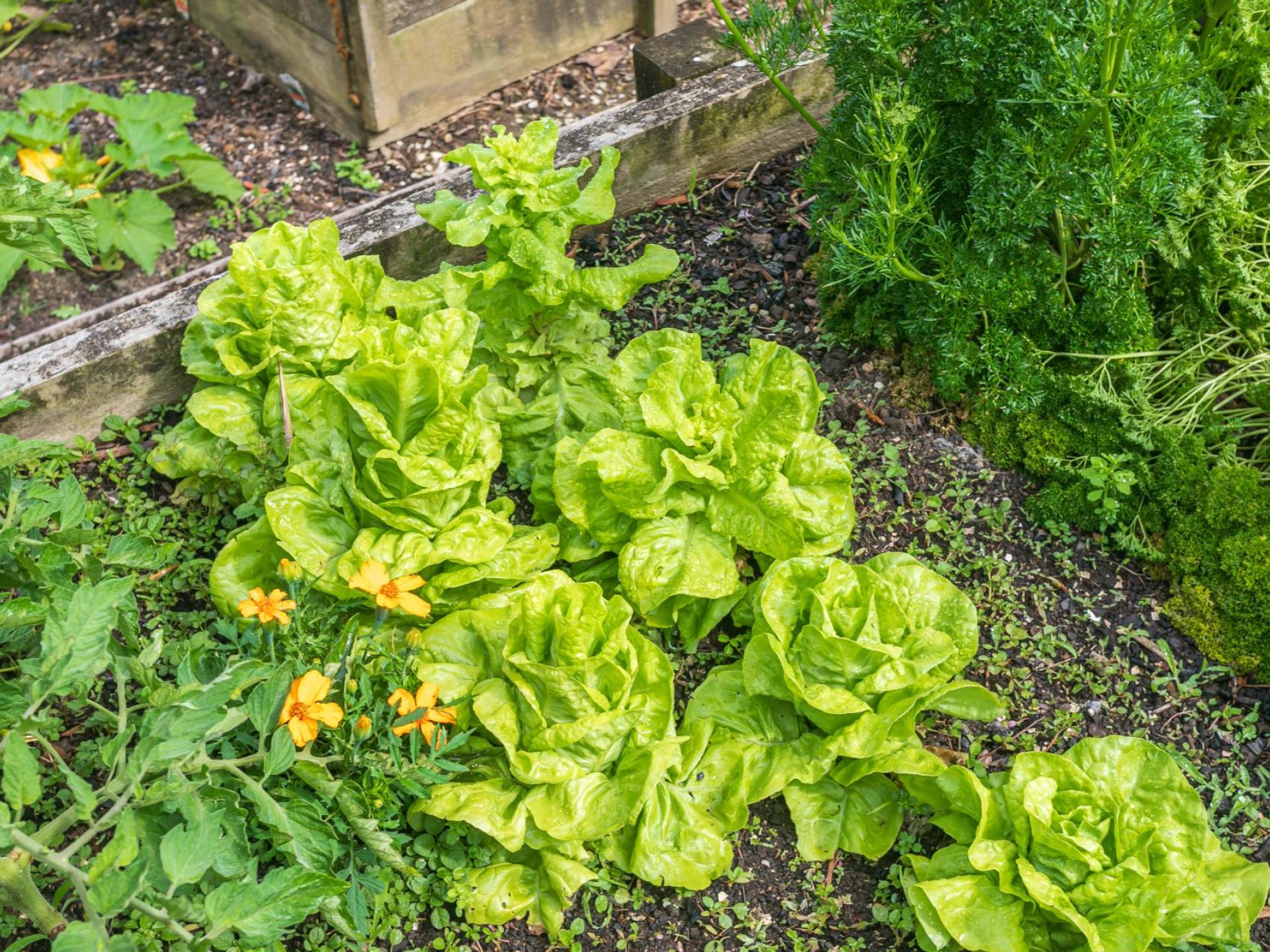 37 Kapowai Road, Coroglen 37 Kapowai Road, Coroglen