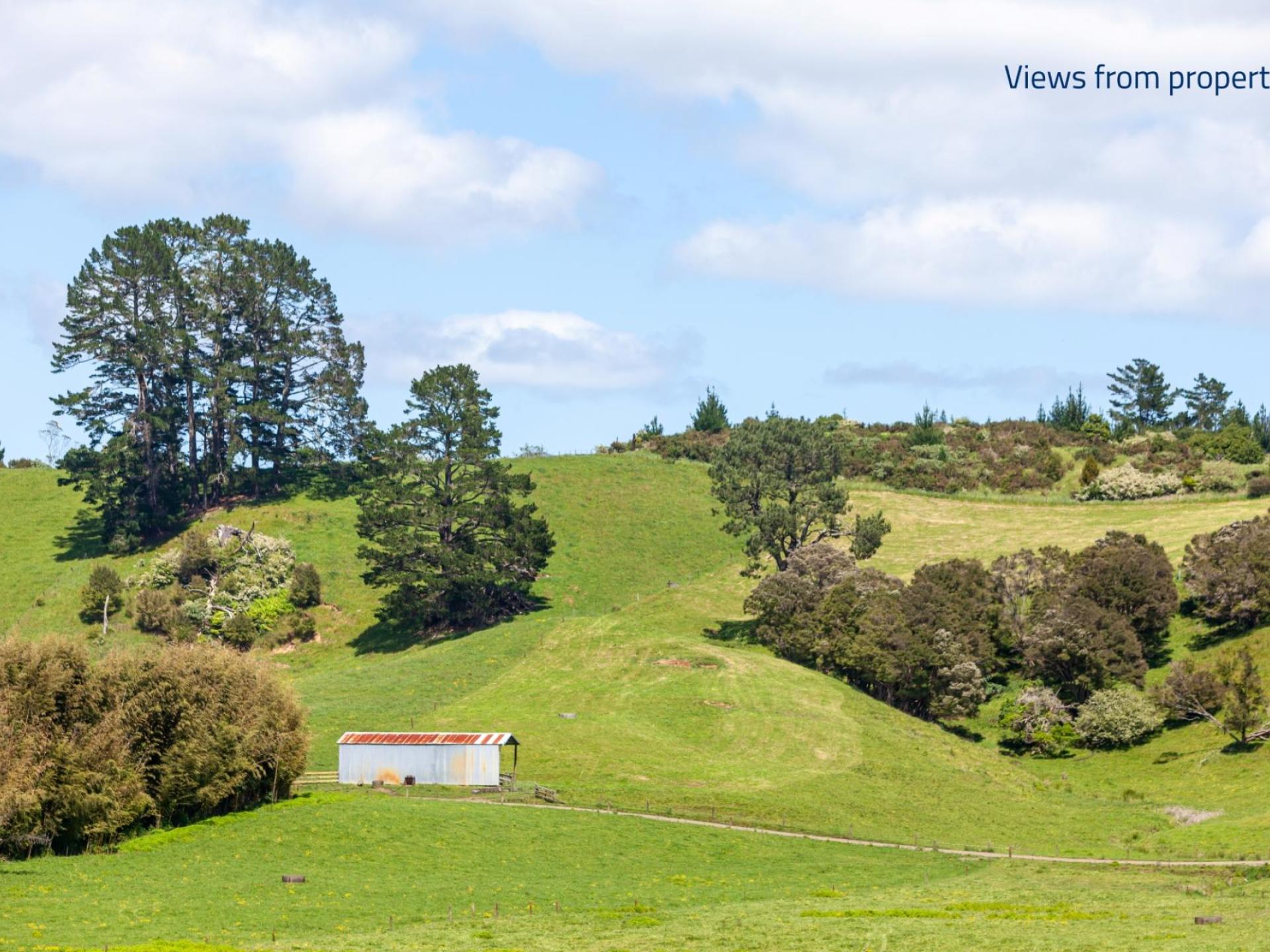 37 Kapowai Road, Coroglen 37 Kapowai Road, Coroglen