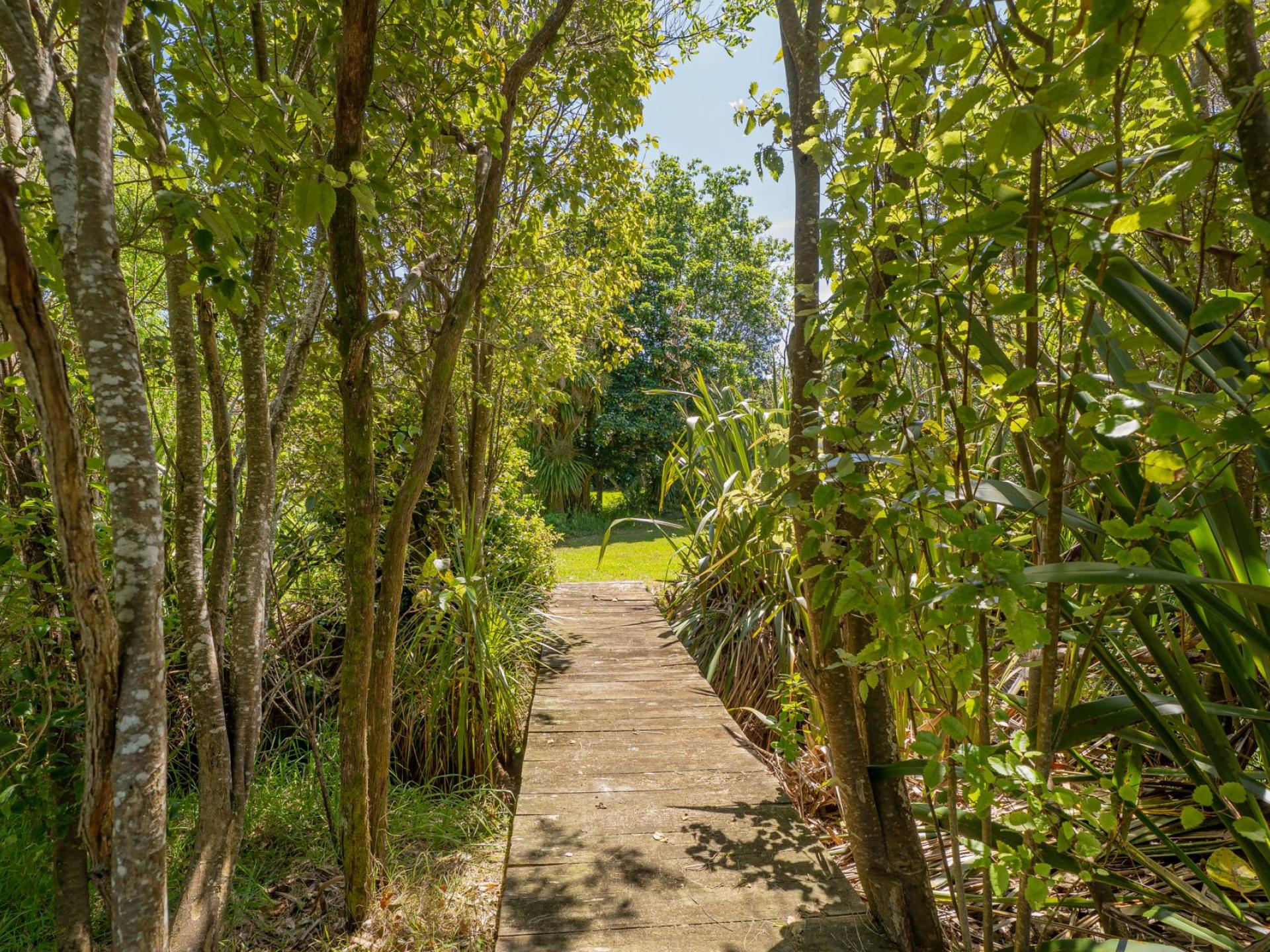 248 Sh25, Kuaotunu 248 Sh25, Kuaotunu