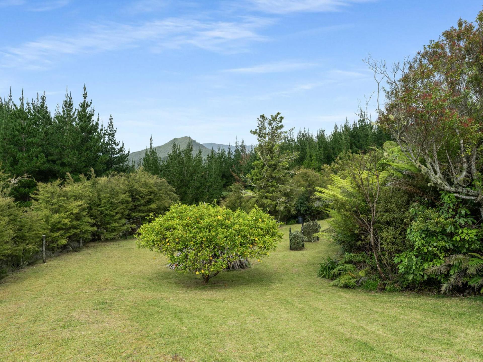 112 Hikuai School Road, Hikuai, Tairua 112 Hikuai School Road, Hikuai, Tairua