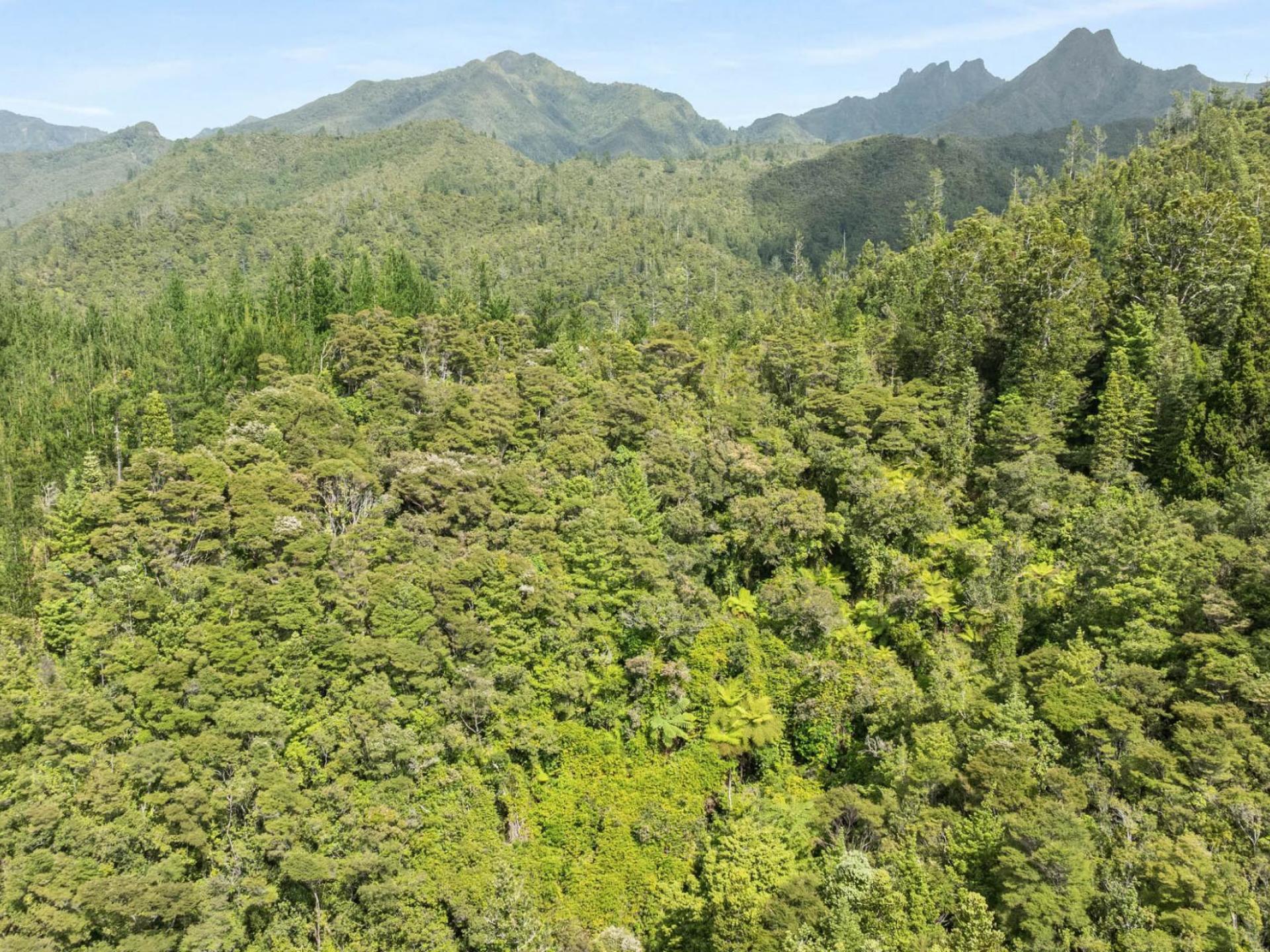 112 Hikuai School Road, Hikuai, Tairua 112 Hikuai School Road, Hikuai, Tairua