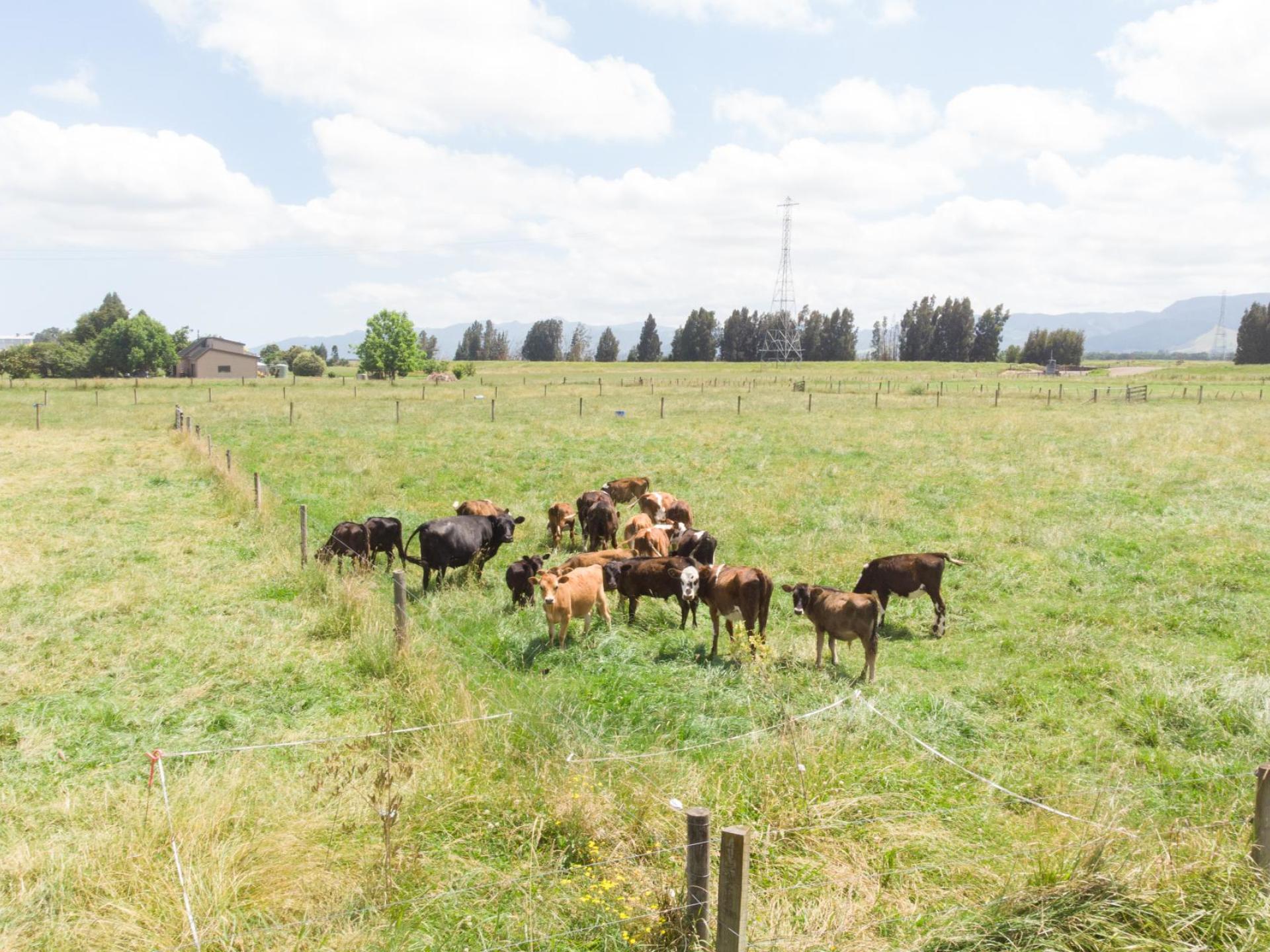 565 Hauraki Road, Turua 565 Hauraki Road, Turua