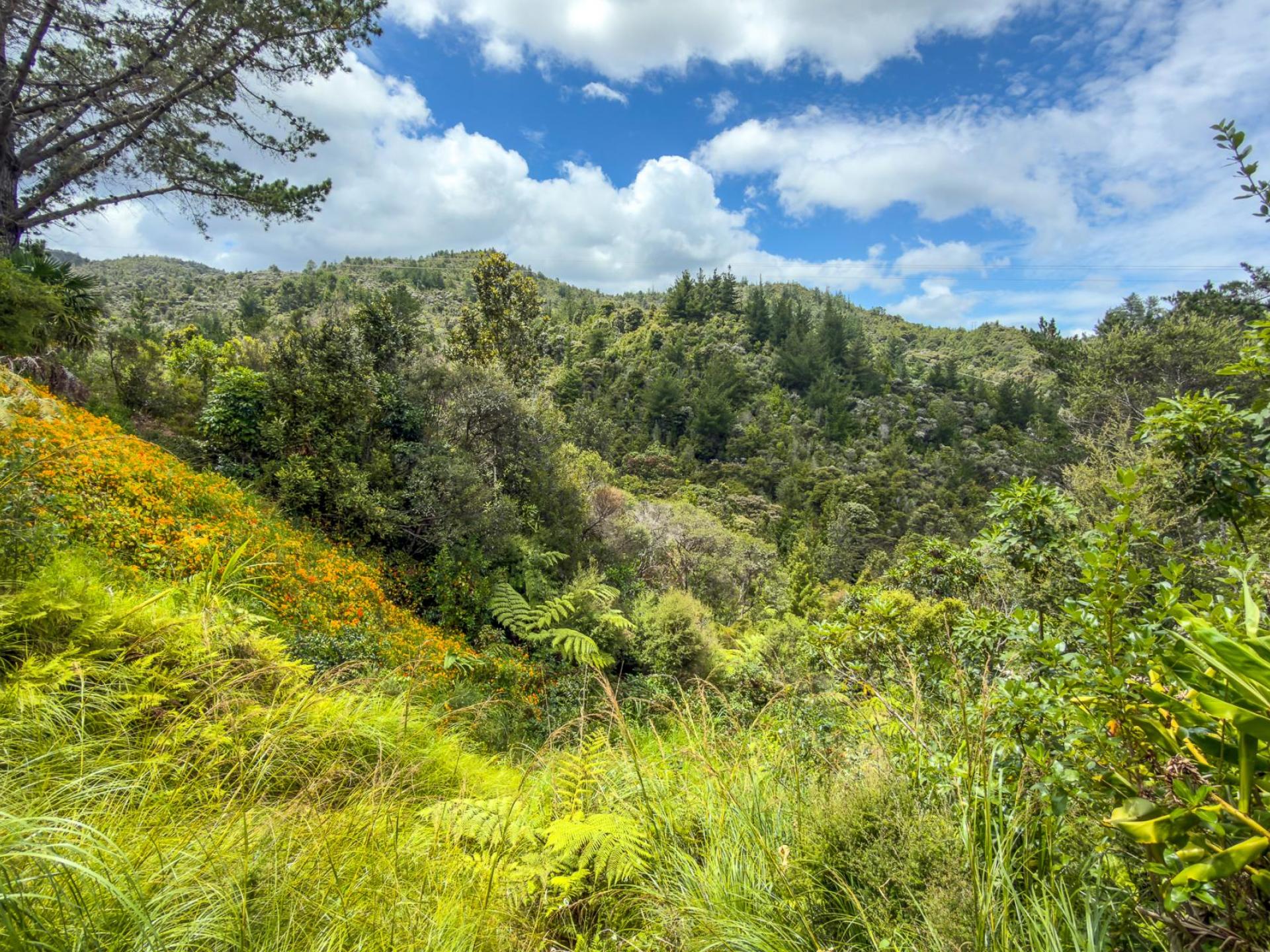 47 Otuturu Crescent, Ruamahunga 47 Otuturu Crescent, Ruamahunga