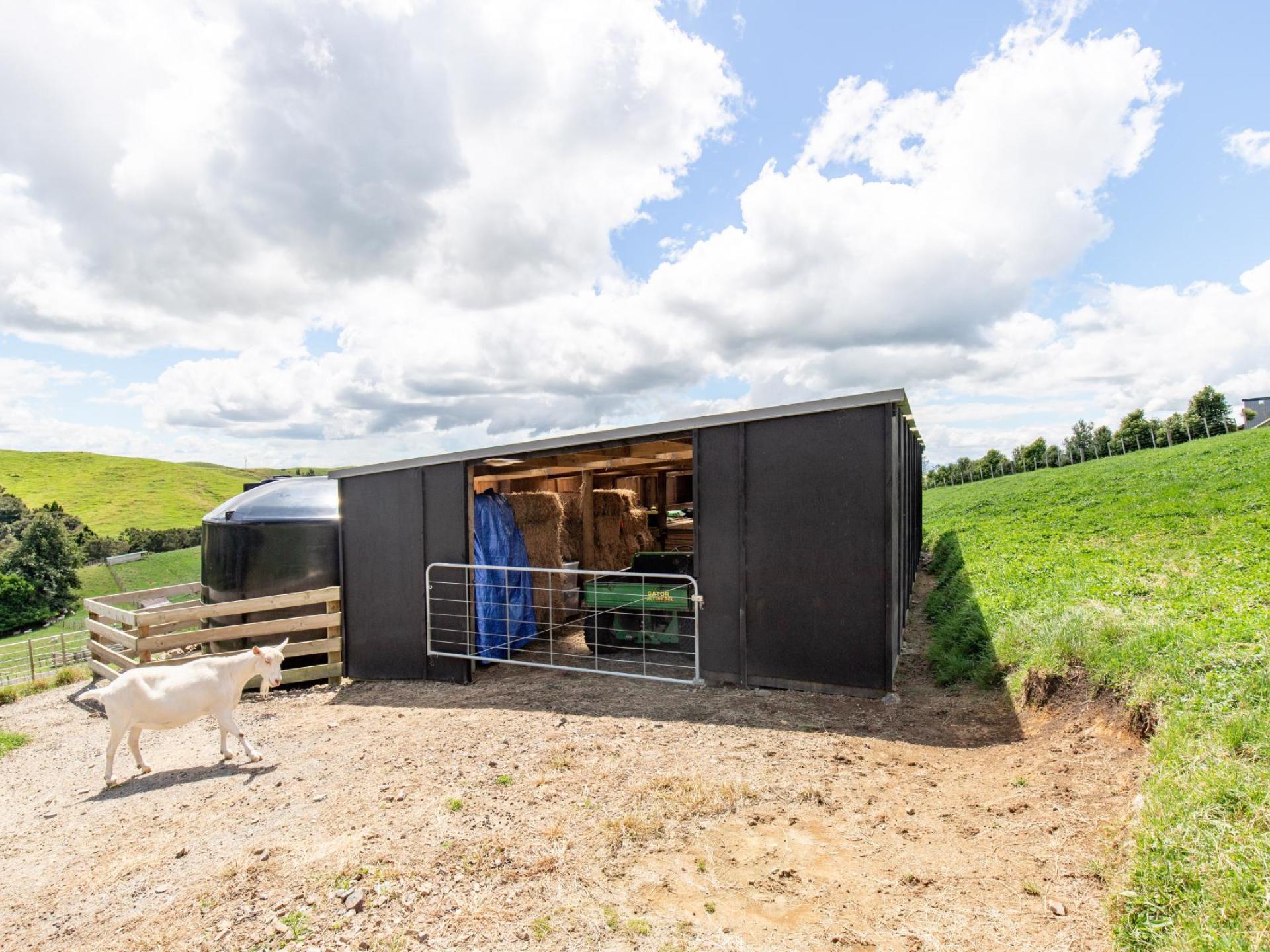 169 Torehape Road West, Kaihere 169 Torehape Road West, Kaihere