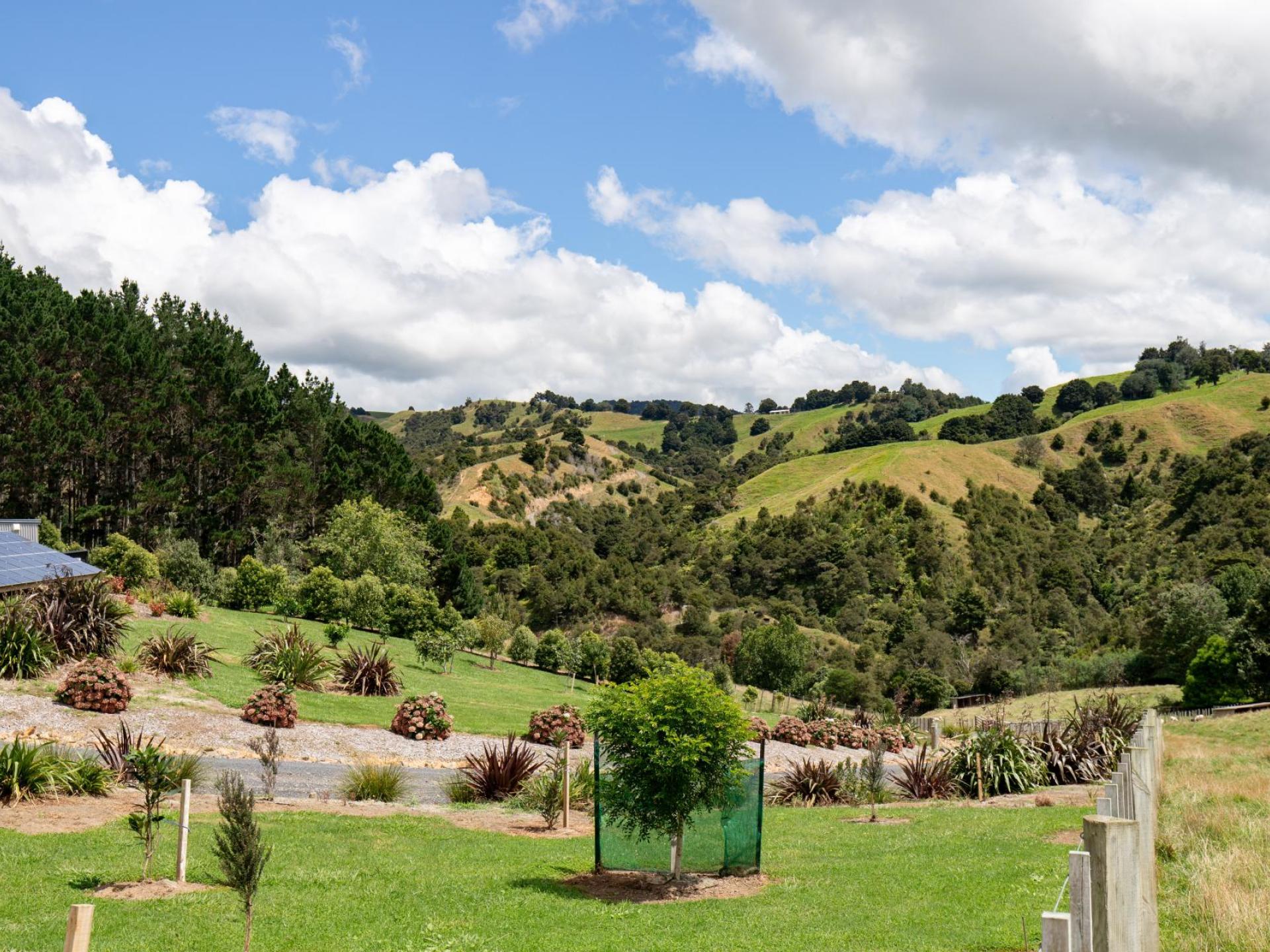 169 Torehape Road West, Kaihere 169 Torehape Road West, Kaihere