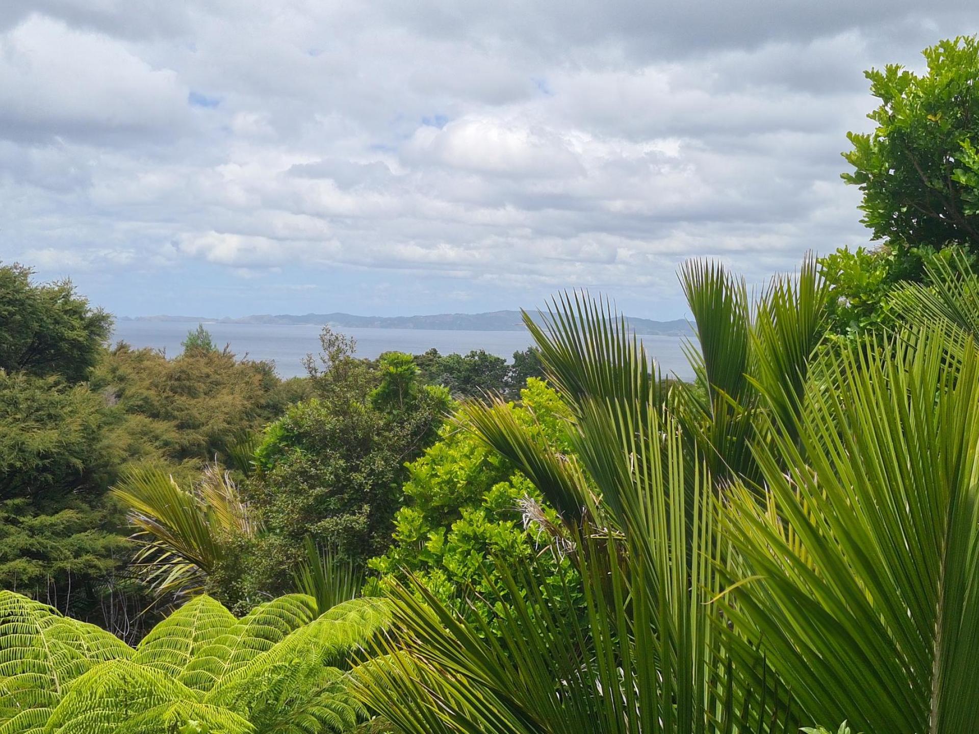 51B Waihirere Drive, Coromandel 51B Waihirere Drive, Coromandel