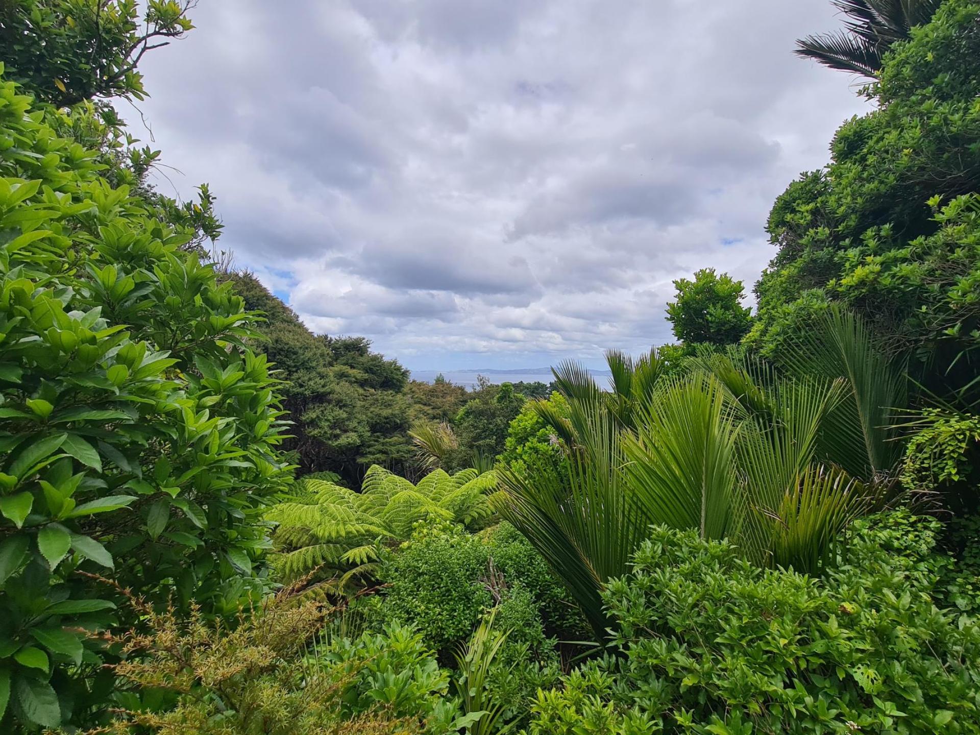 51B Waihirere Drive, Coromandel 51B Waihirere Drive, Coromandel