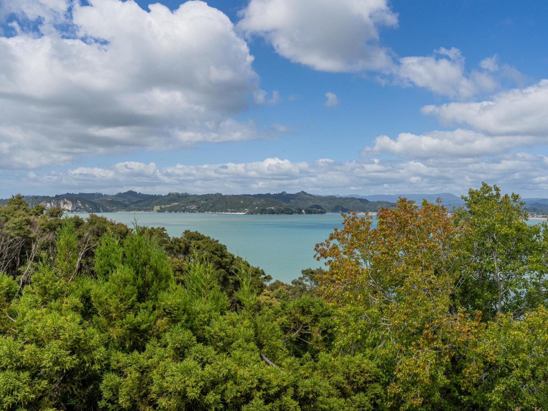219 Buffalo Beach Road, Whitianga 219 Buffalo Beach Road, Whitianga