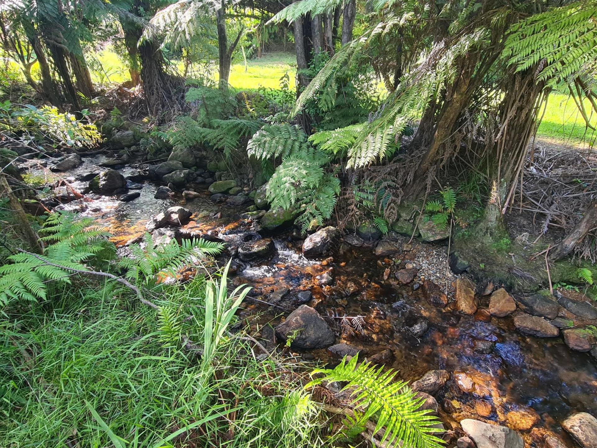 150 Lillis Lane, Coromandel 150 Lillis Lane, Coromandel