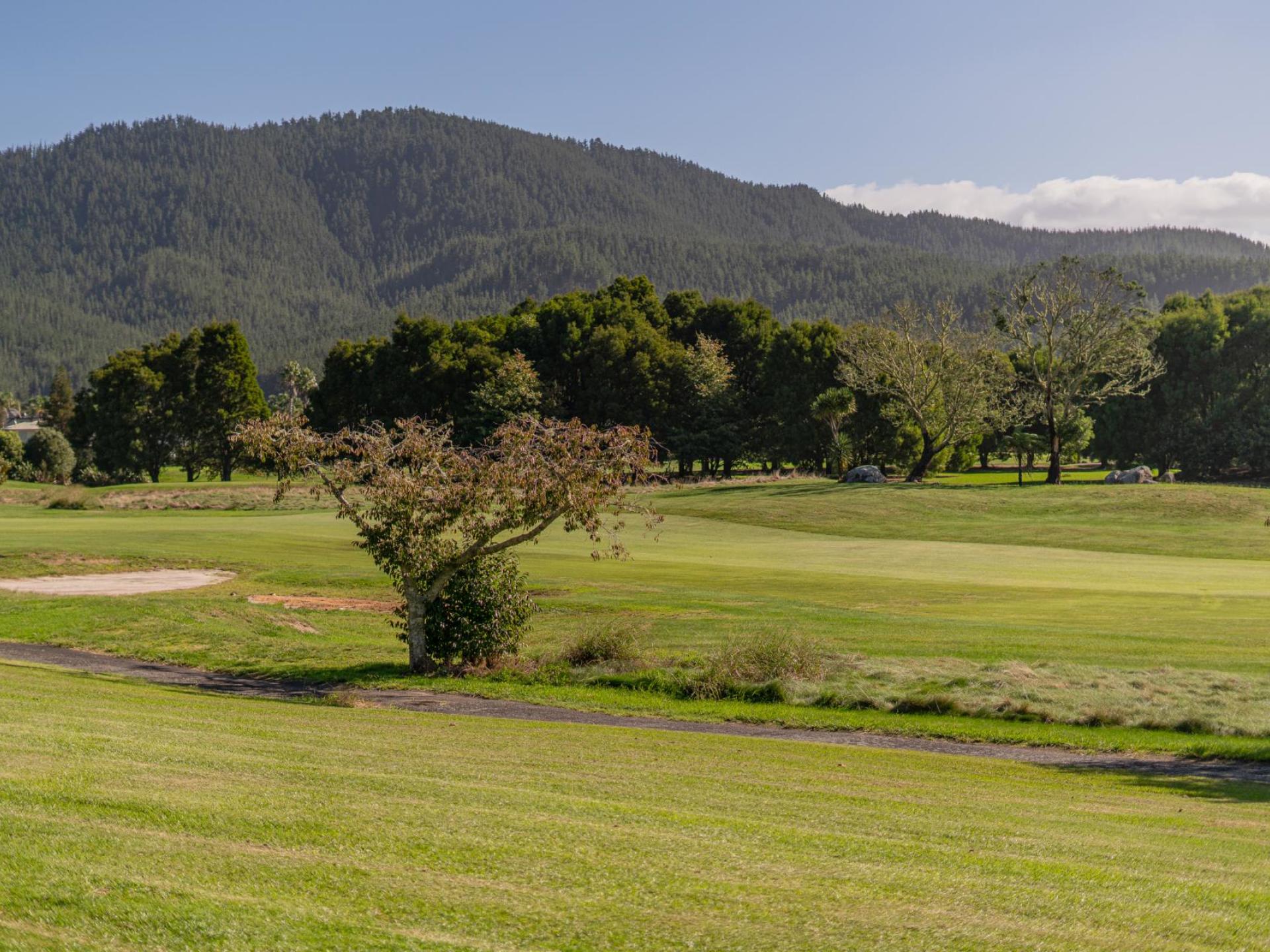118 Augusta Drive, Pauanui 118 Augusta Drive, Pauanui