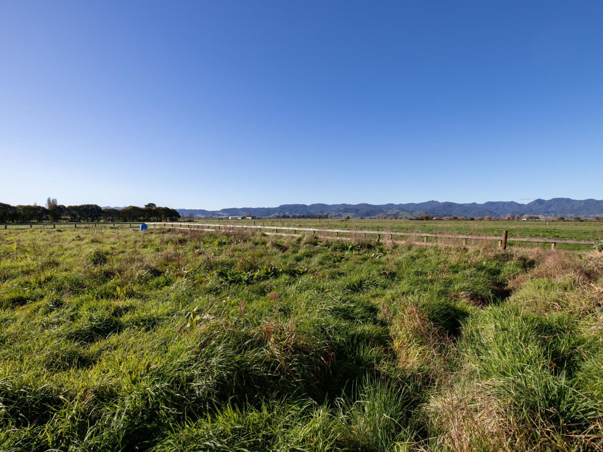 739 Hauraki Road, Turua 739 Hauraki Road, Turua
