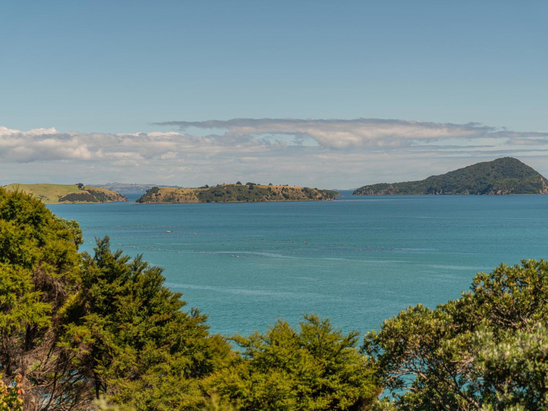1410 Wyuna Bay Road, Coromandel 1410 Wyuna Bay Road, Coromandel