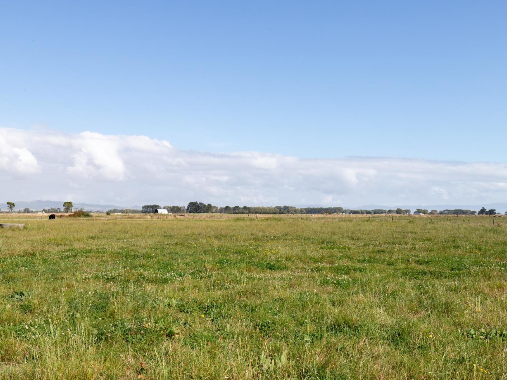 166A Pipiroa Road, Ngatea 166A Pipiroa Road, Ngatea