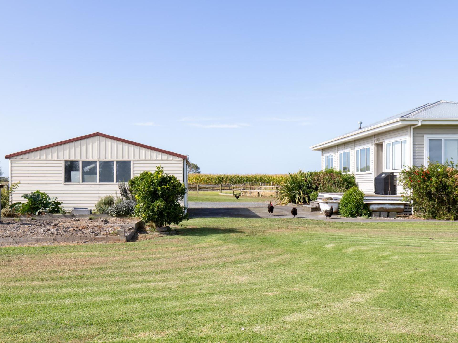 166A Pipiroa Road, Ngatea 166A Pipiroa Road, Ngatea