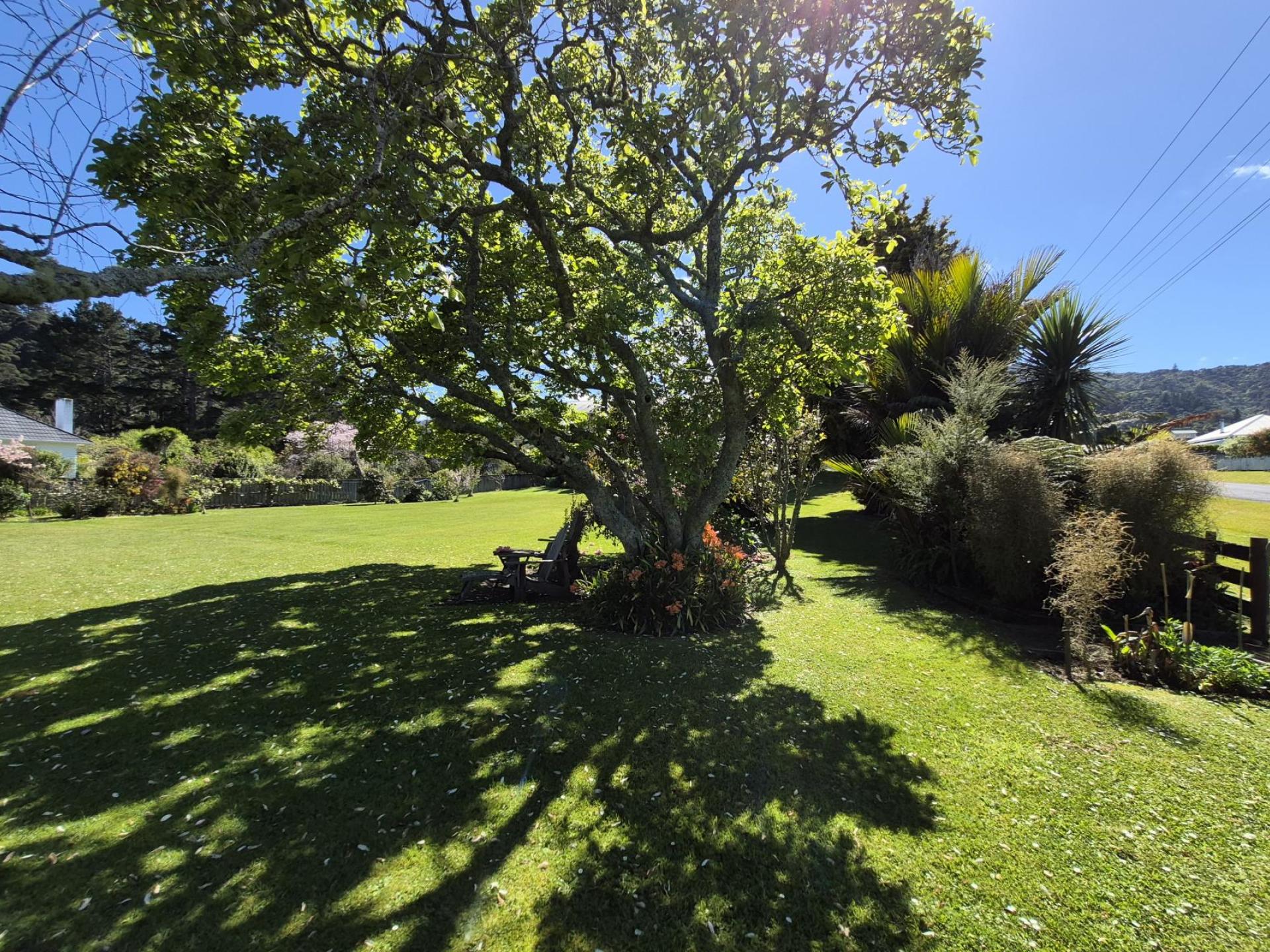 85 Watt Street, Coromandel 85 Watt Street, Coromandel
