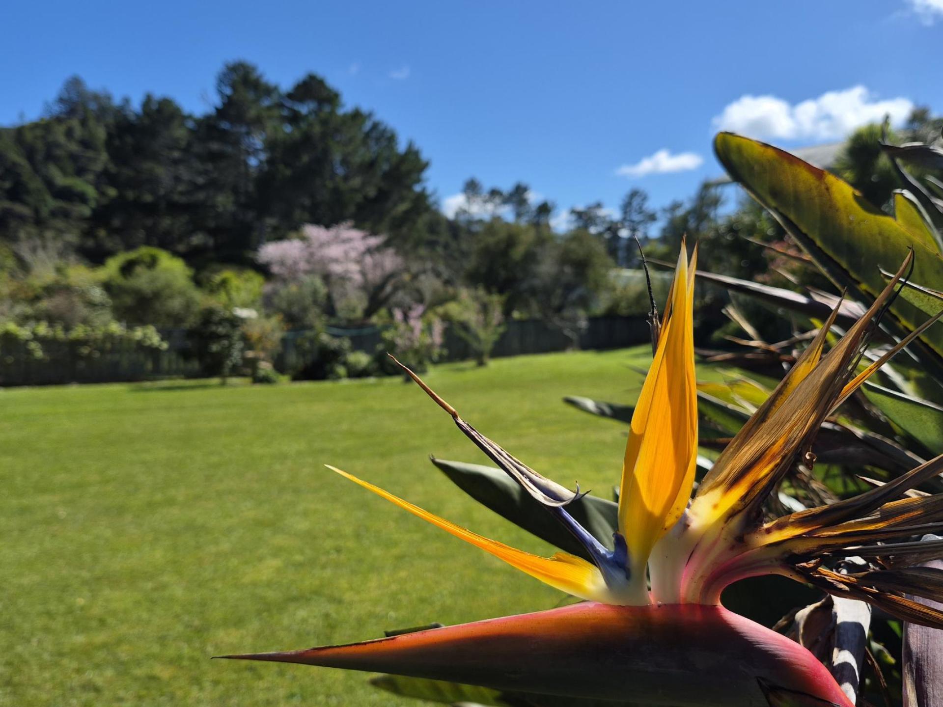85 Watt Street, Coromandel 85 Watt Street, Coromandel