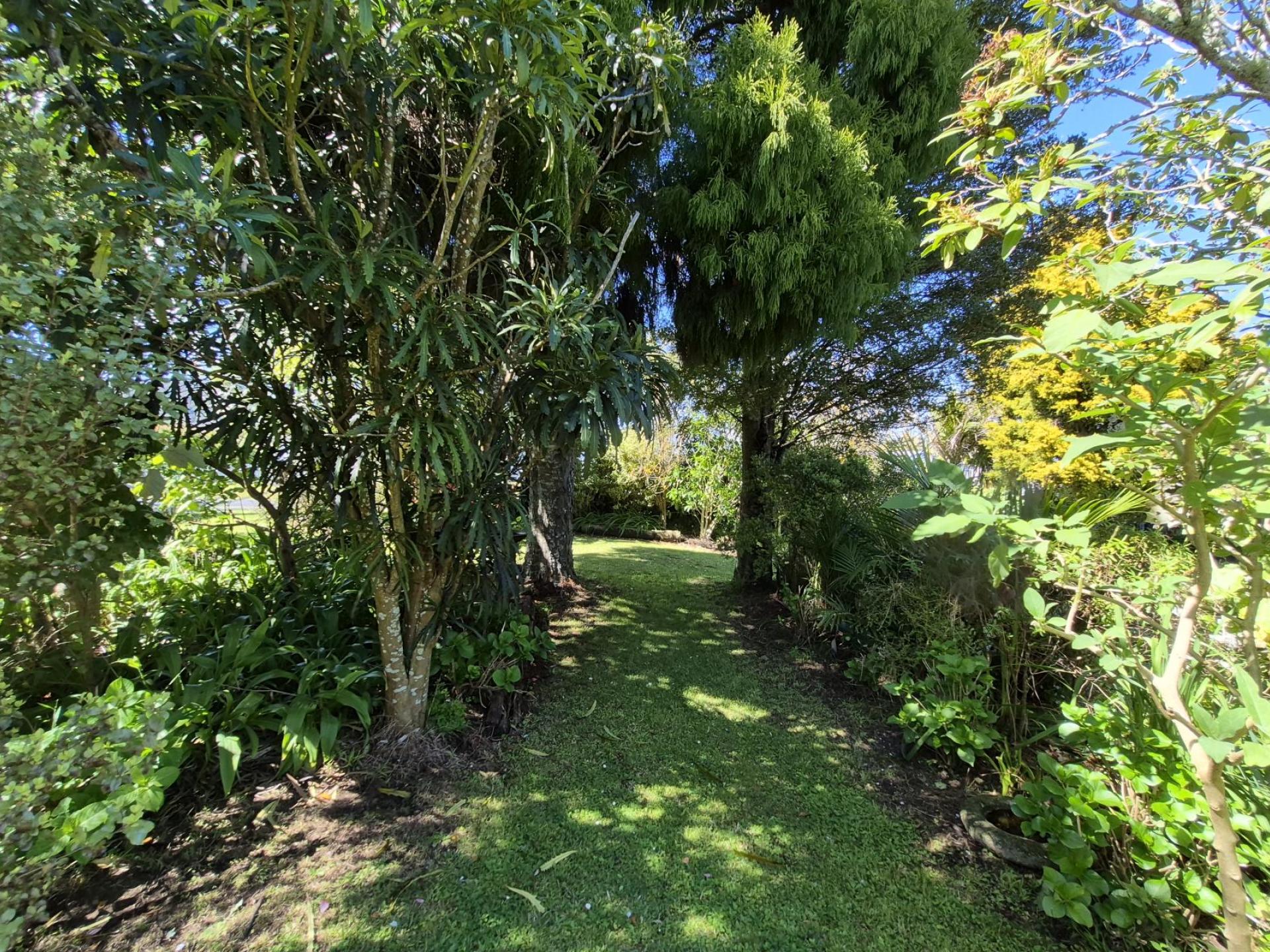 85 Watt Street, Coromandel 85 Watt Street, Coromandel