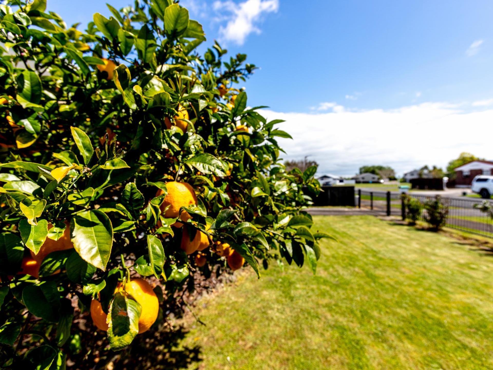 12 Shoalhaven Street, Paeroa 12 Shoalhaven Street, Paeroa