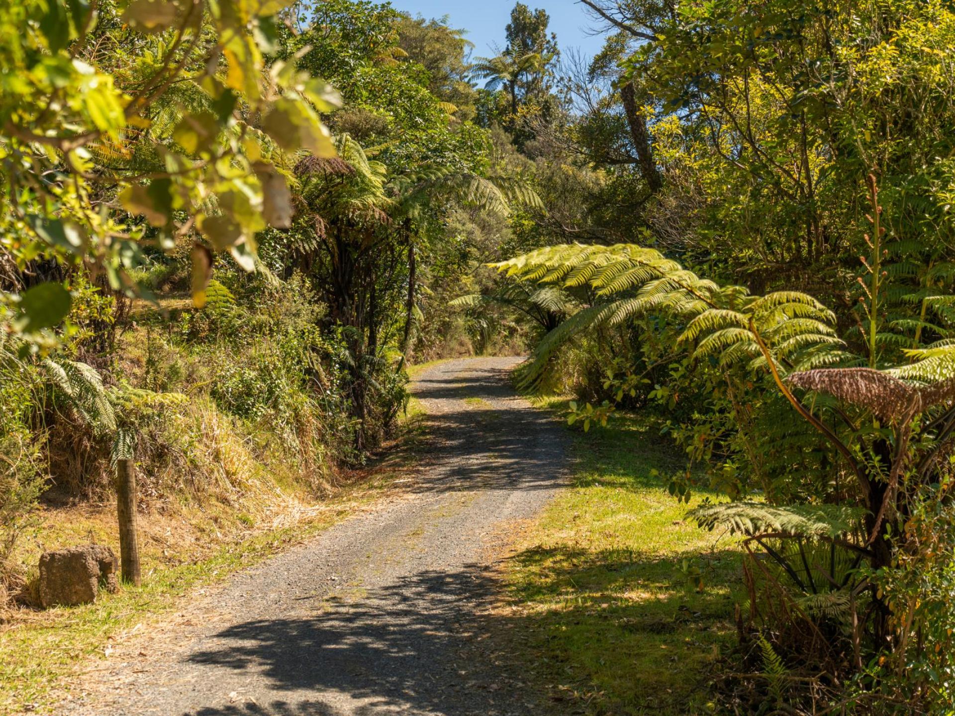 820 The 309 Road, Coromandel 820 The 309 Road, Coromandel