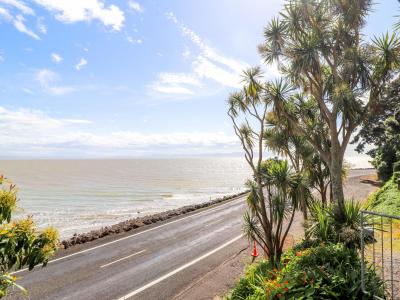 116 Thames Coast Road, Thames