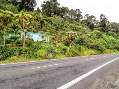 116 Thames Coast Road, Thames
