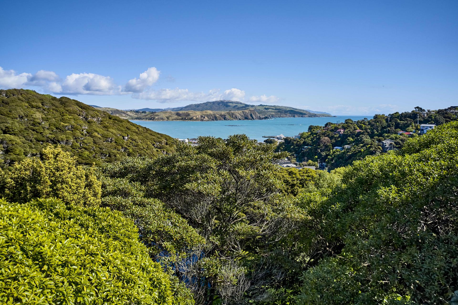 76 Cluny Road, Plimmerton